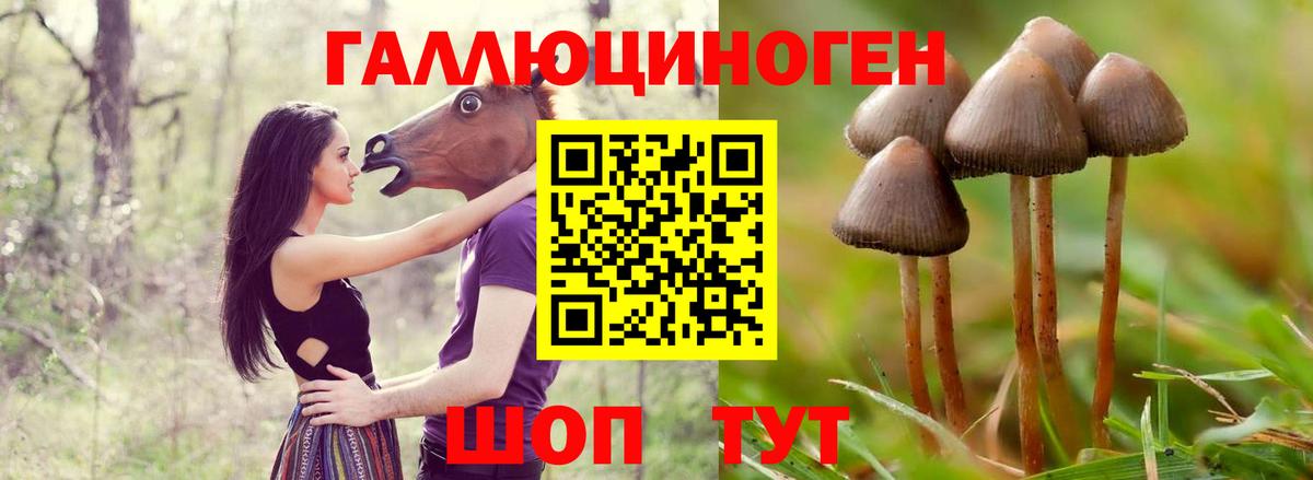 Галлюциногенные грибы Psilocybine cubensis  Вход с VPN  Прокопьевск 