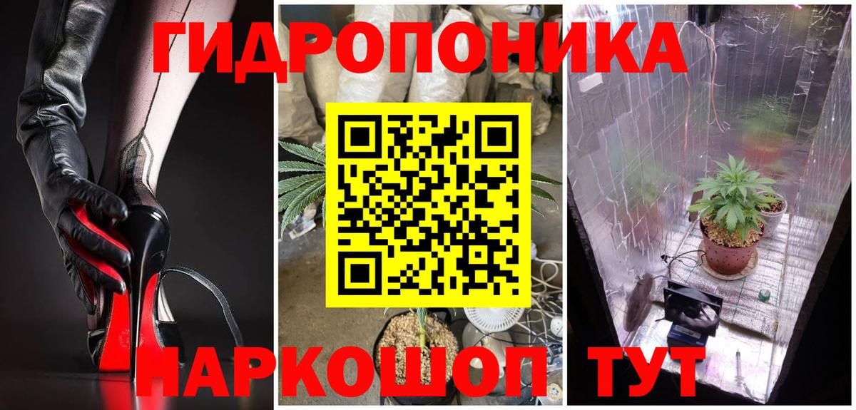 Шишки марихуана White Widow Прокопьевск